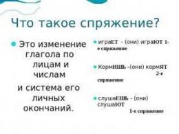 Изучаем слова исключения в русском языке