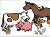 Называем животных по-английски Изучить животных на английском языке для малышей